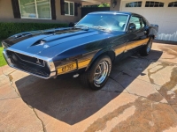 1969 Ford Mustang for sale in Michigan (ID-133163)