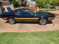 1969 Ford Mustang for sale in Michigan (ID-133163)
