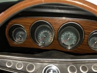 1969 Ford Mustang for sale (ID-100553)