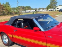 1969 Ford Mustang for sale in Michigan (ID-133945)