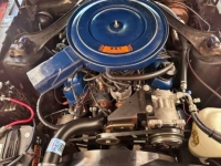 1969 Ford Mustang for sale in Michigan (ID-135084)