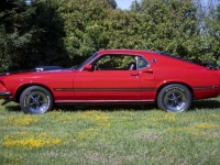 1969 Ford Mustang for sale in Michigan (ID-138853)