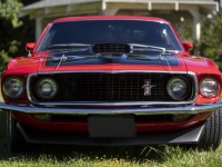 1969 Ford Mustang for sale in Michigan (ID-138853)