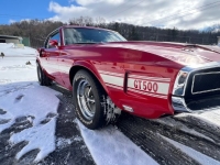 1969 Ford Mustang for sale in Michigan (ID-139598)