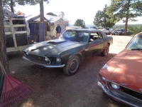 1969 Ford Mustang for sale in Michigan (ID-139762)
