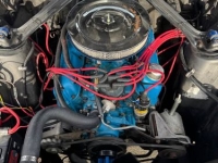 1969 Ford Mustang for sale in Michigan (ID-140728)