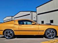 1969 Ford Mustang for sale in Michigan (ID-141302)