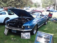 1969 Ford Mustang for sale in Michigan (ID-141981)