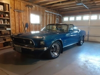 1969 Ford Mustang for sale in Michigan (ID-141981)