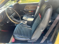 1969 Ford Mustang for sale in Michigan (ID-142115)