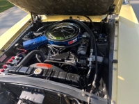 1969 Ford Mustang for sale in Michigan (ID-142115)