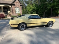 1969 Ford Mustang for sale in Michigan (ID-142115)