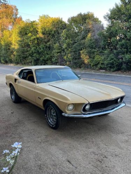1969 Ford Mustang for sale in Michigan (ID-142168)