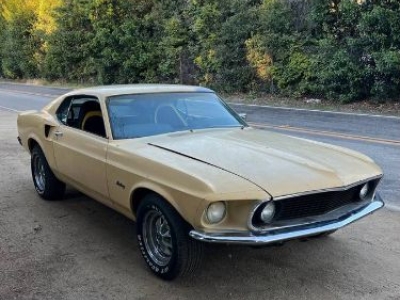 1969 Ford Mustang for sale