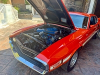 1969 Ford Mustang for sale in Michigan (ID-142363)