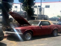 1969 Ford Mustang for sale in Michigan (ID-142680)