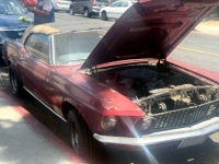 1969 Ford Mustang for sale in Michigan (ID-142680)
