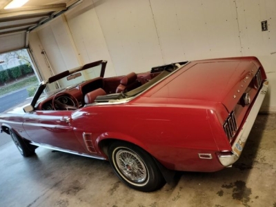 1969 Ford Mustang for sale