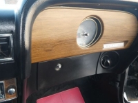 1969 Ford Mustang for sale (ID-146617)