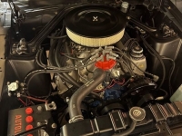 1969 Ford Mustang for sale in Riverhead, New York (ID-154726)