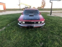 1969 Ford Mustang for sale in Michigan (ID-155631)