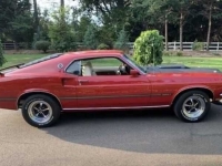 1969 Ford Mustang for sale (ID-155645)