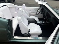 1969 Ford Mustang for sale in Michigan (ID-161480)