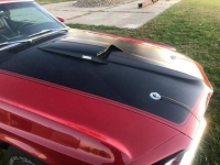 1969 Ford Mustang for sale in Michigan (ID-161849)