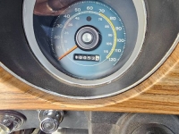 1969 Ford Mustang for sale in Michigan (ID-162358)