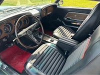 1969 Ford Mustang for sale in Michigan (ID-163598)