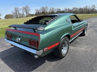 1969 Ford Mustang for sale in Michigan (ID-163598)