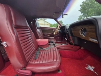1969 Ford Mustang for sale in Michigan (ID-164227)