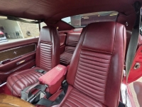 1969 Ford Mustang for sale in Michigan (ID-164227)