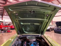 1969 Ford Mustang for sale in Michigan (ID-164421)