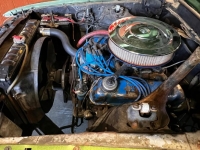 1969 Ford Mustang for sale in Michigan (ID-164421)