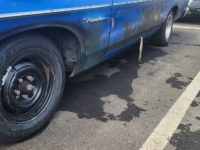 1969 Ford Ranchero for sale in Michigan (ID-136467)