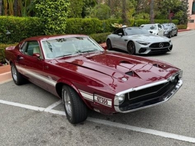 1969 Ford Shelby for sale