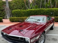 1969 Ford Shelby for sale in Michigan (ID-146586)