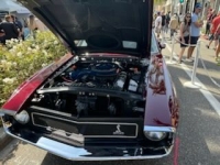 1969 Ford Shelby for sale in Michigan (ID-146586)