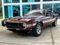 1969 Ford Shelby GT500 for sale in Riverhead, New York (ID-132814)