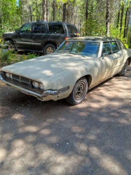 1969 Ford Thunderbird for sale in Michigan (ID-145638)