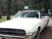 1969 Ford Thunderbird for sale in Michigan (ID-145638)