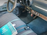1969 Ford Torino for sale in Michigan (ID-121772)