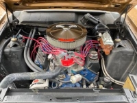 1969 Ford Torino for sale in Michigan (ID-125816)