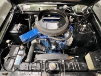 1969 Ford Torino for sale in Michigan (ID-125981)