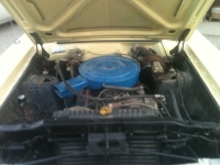 1969 Ford Torino for sale (ID-123570)