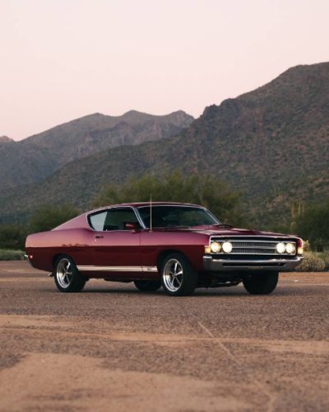 1969 Ford Torino for sale in Michigan (ID-156217)