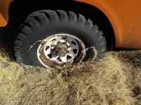 1969 International Harvester for sale in Michigan (ID-101061)
