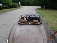 1969 Jaguar Series II for sale in Michigan (ID-135061)