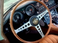1969 Jaguar XKE for sale in Michigan (ID-113627)